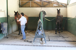 Installation Ecurie propritaire Sane-et-Loire